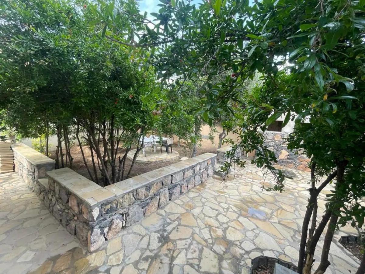 Rose Guesthouse Al 'Aqar Exterior photo